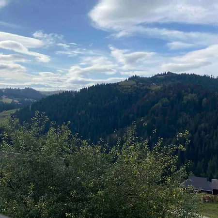 Apartmán перлина гір *