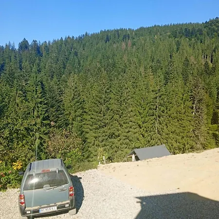 перлина гір *