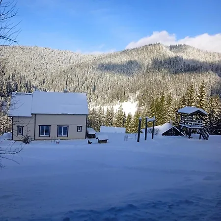 Appartement перлина гір Yablunytsia