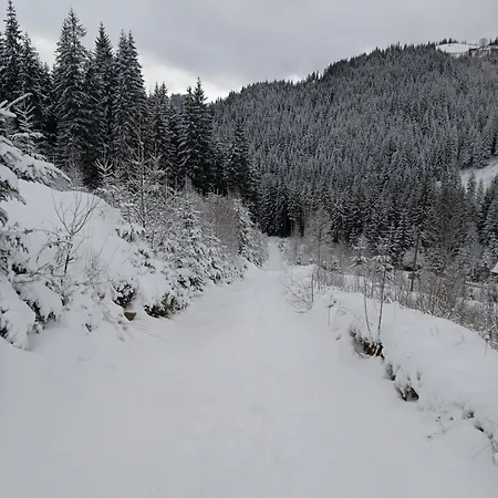 перлина гір * Яблоница