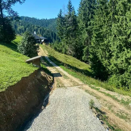 Апартаменты перлина гір Яблоница