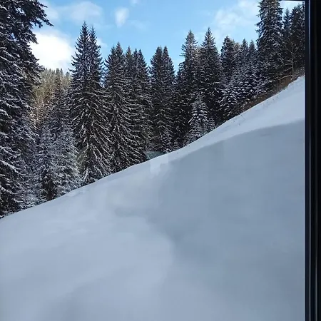 перлина гір * Jablunycja