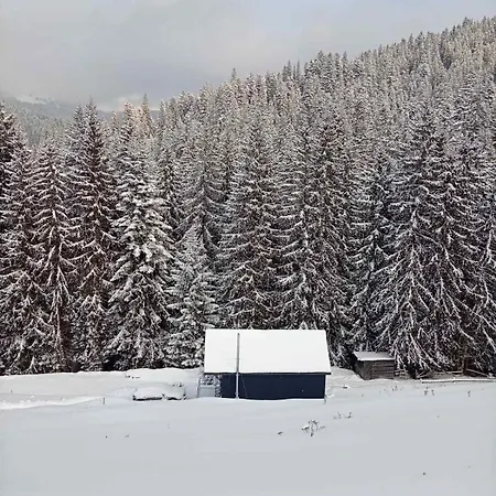 перлина гір Jablunycja