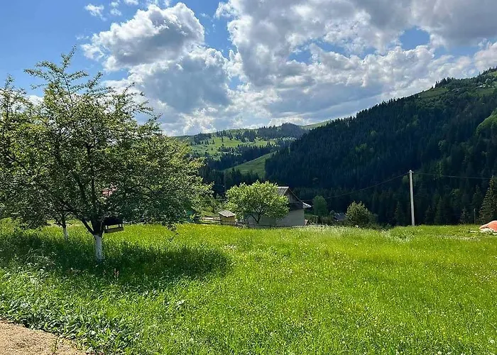 Apartment перлина гір Yablunytsya